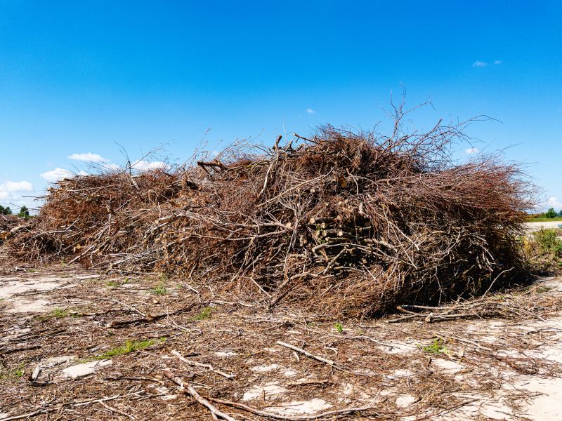 Debris and Brush Removal