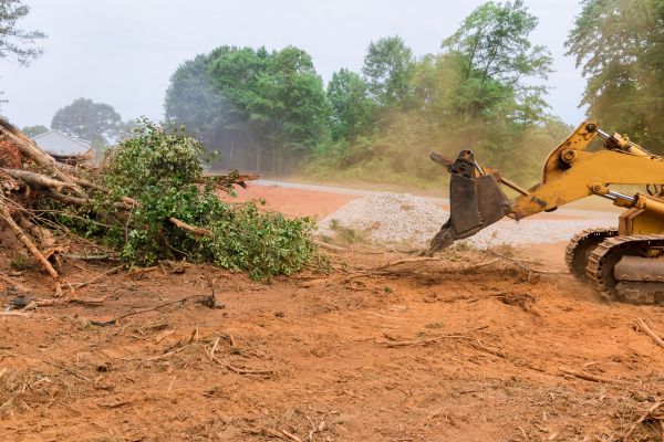 Ground Clearing in Athens