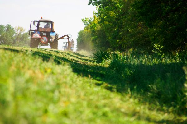 Vegetation Clearance