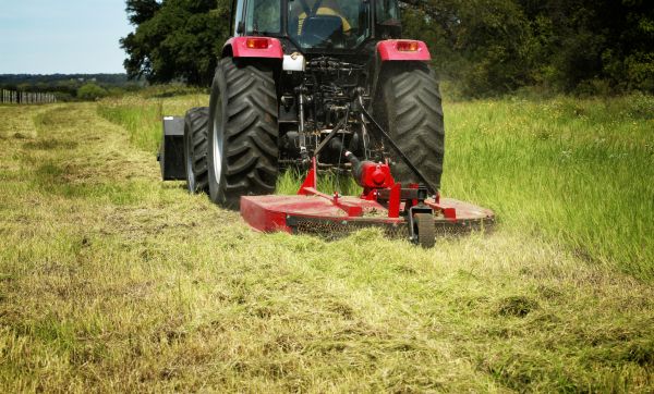 Brush Clearing Service in Athens