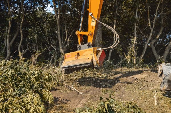 Brush Removal Service in Athens