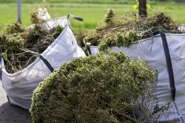Bush Clearing