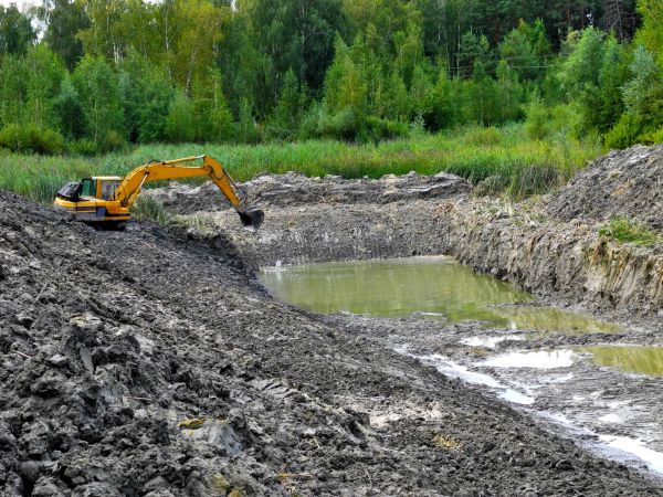 Lake Lot Clearing Service