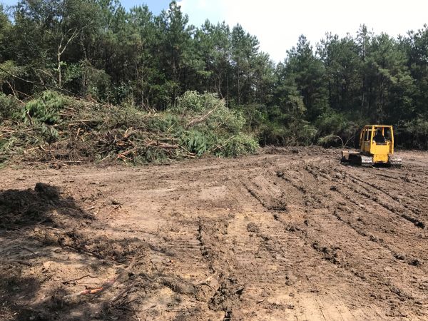 Thicket Clearing Service