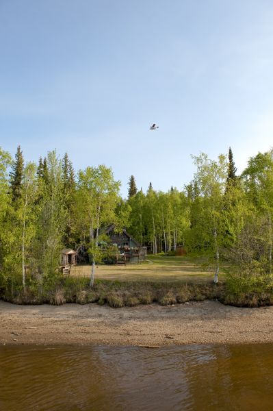 Waterfront Land Clearing Service
