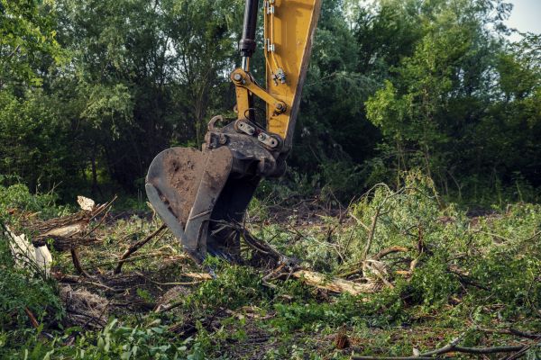 Vegetation Clearing