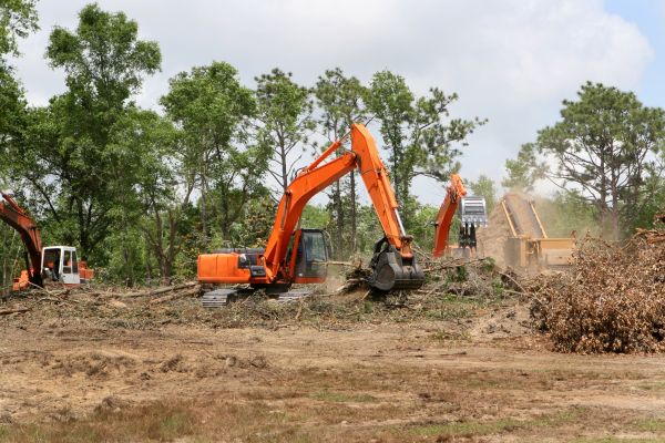 Commercial Lot Clearing Service