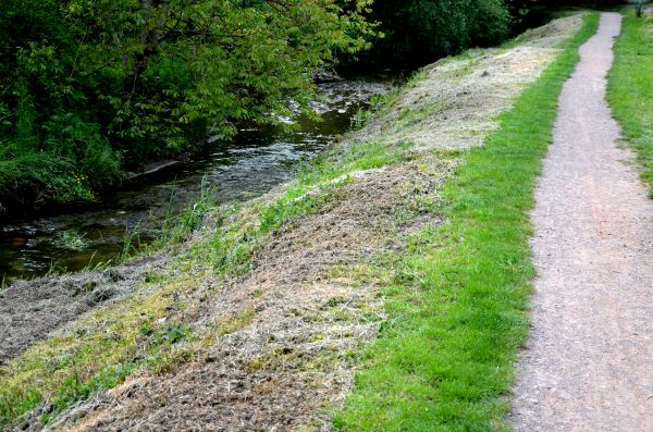 Trail Cutting Service